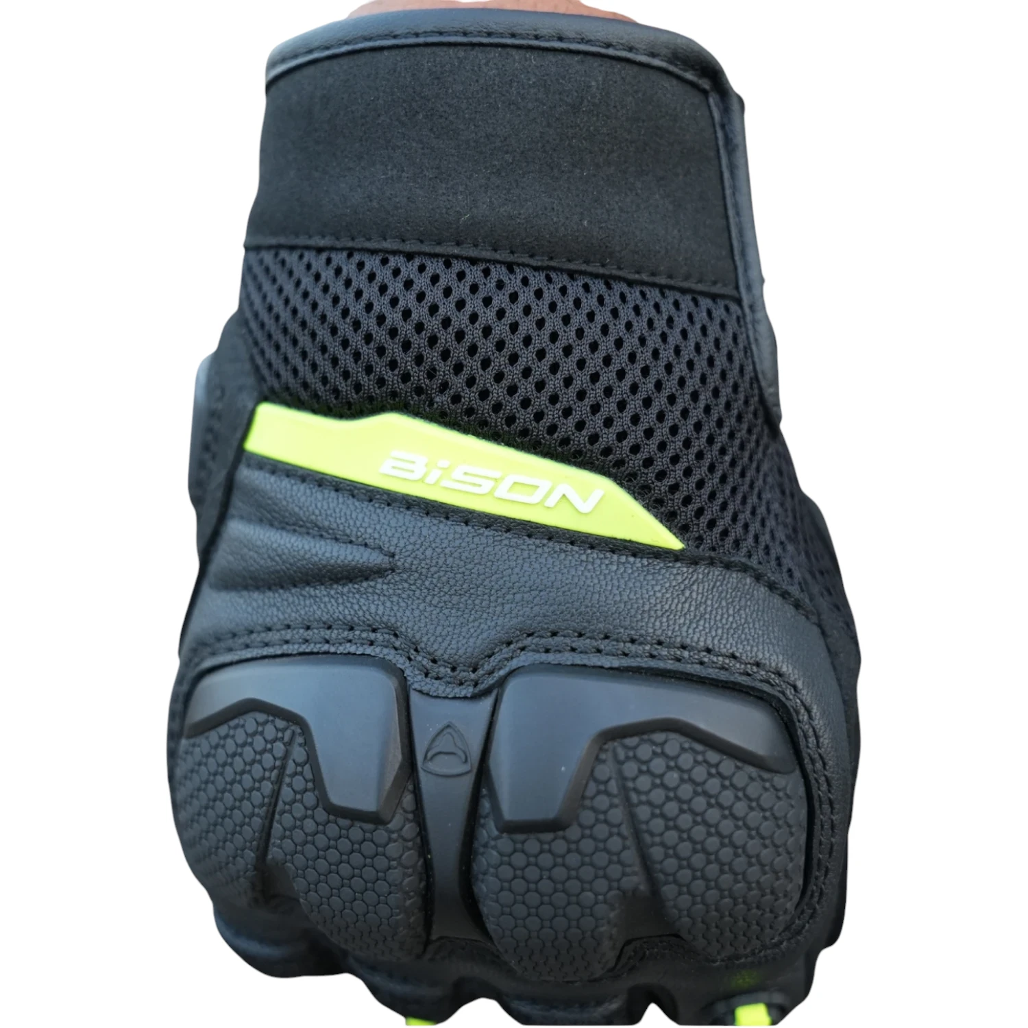 Raptor Neon (9)